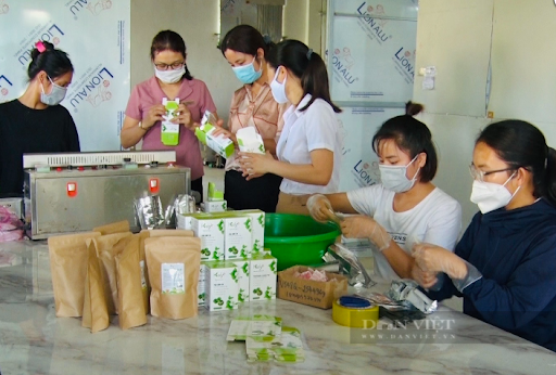 Phú Thọ: Phụ nữ công giáo Cẩm Khê giúp nhau thoát nghèo